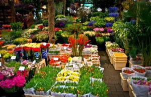 AMSTERDAM 0120060420_3454