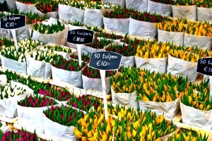 AMSTERDAM 0120060420_3456