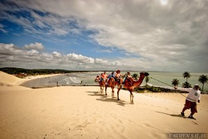 BRASIL 0120080730_3362