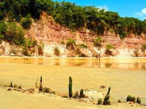 BRASIL 0120080804_3566