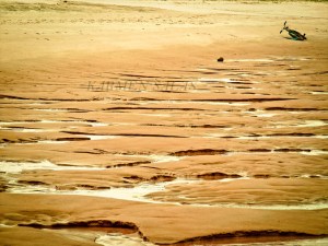 BRASIL 0120150928_3568