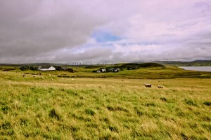 EDIMBURGO 0120100727_3375