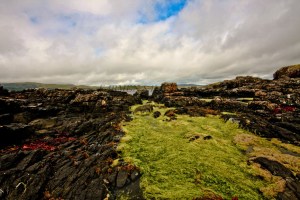 EDIMBURGO 0120100727_3376