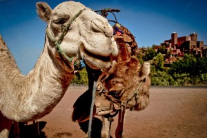 MARRUECOS 0120071102_3509