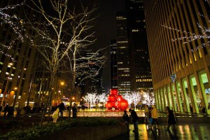 NEW YORK 0120120102_3586