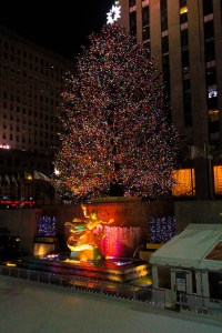 NEW YORK 0120120102_3589