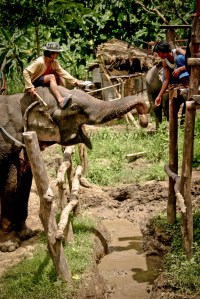 TAILANDIA 0120070807_3482