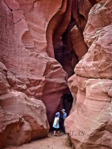 2014-08-20 15.05.33 copia