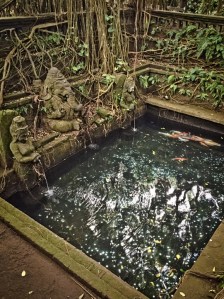 BALI 0120150724_3899