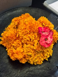 BALI 0120150729_3912