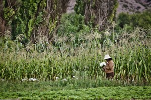 BOLIVIA 0120151005_3832