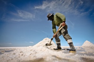 DOCUMENTAL 1 204 copia