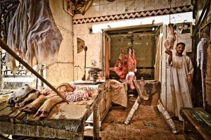 EGIPTO 0120120829_3610