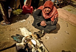 EGIPTO 0120120829_3614