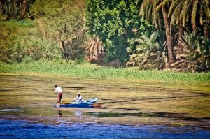 EGIPTO 0120120829_3620