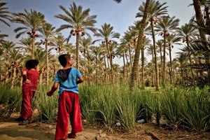 EGIPTO 0120120901_3628