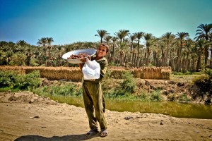 EGIPTO 0120120901_3631