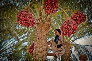 EGIPTO 0120120901_3632