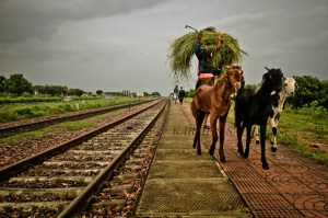 india 0120130819_3638