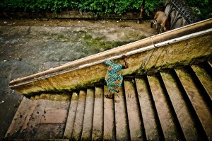 india 0120130819_3645