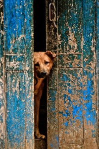 india 0120130828_3666