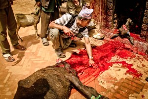 NEPAL 0120130828_3813