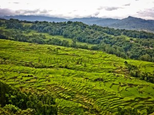 SULAWESI 0120150717_3864