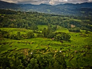 SULAWESI 0120150717_3865