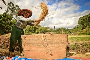 SULAWESI 0120150718_3871