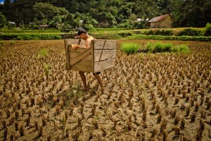 SULAWESI 0120150718_3874