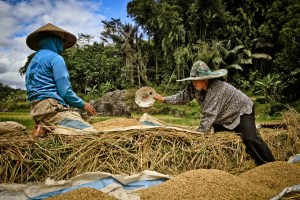 SULAWESI 0120150718_3877