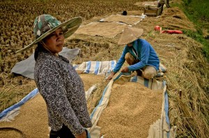 SULAWESI 0120150718_3878