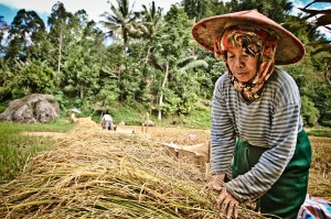 SULAWESI 0120150718_3879