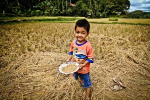 SULAWESI 0120150718_3884