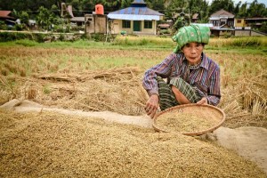 SULAWESI 0120150718_3886