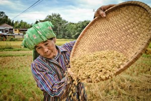 SULAWESI 0120150718_3887