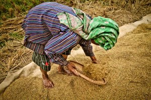 SULAWESI 0120150718_3888