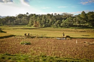 SULAWESI 0120150718_3896