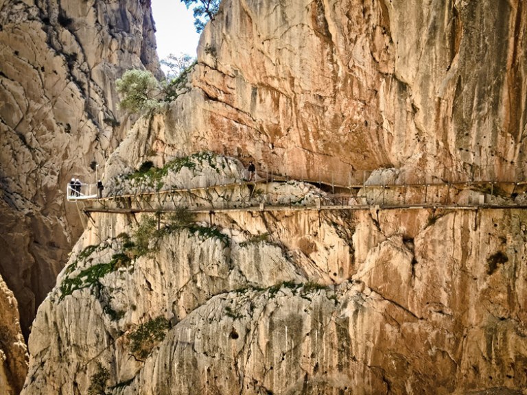 2016-03-08 12.29.01 copia