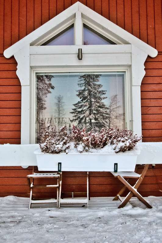 KARMEN SALAS 00120160120_5463.jpg