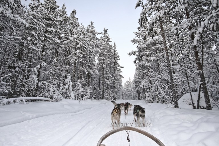 KARMEN SALAS 00120160121_5469