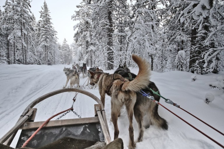 KARMEN SALAS 00120160121_5470