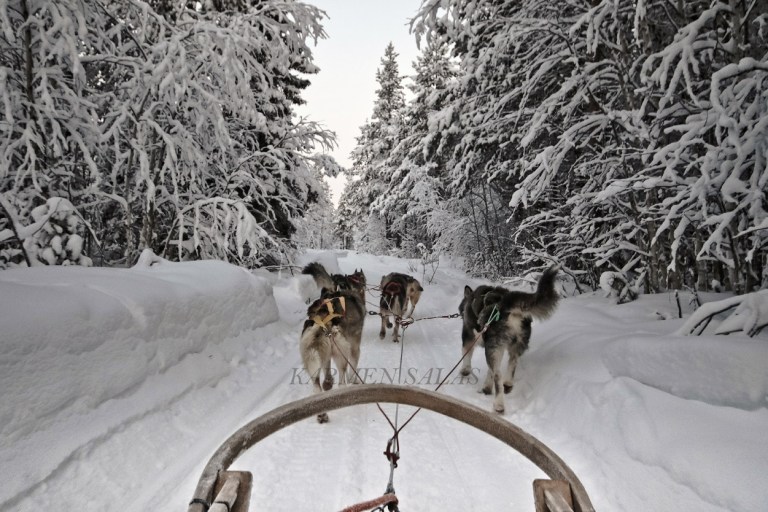 KARMEN SALAS 00120160121_5471