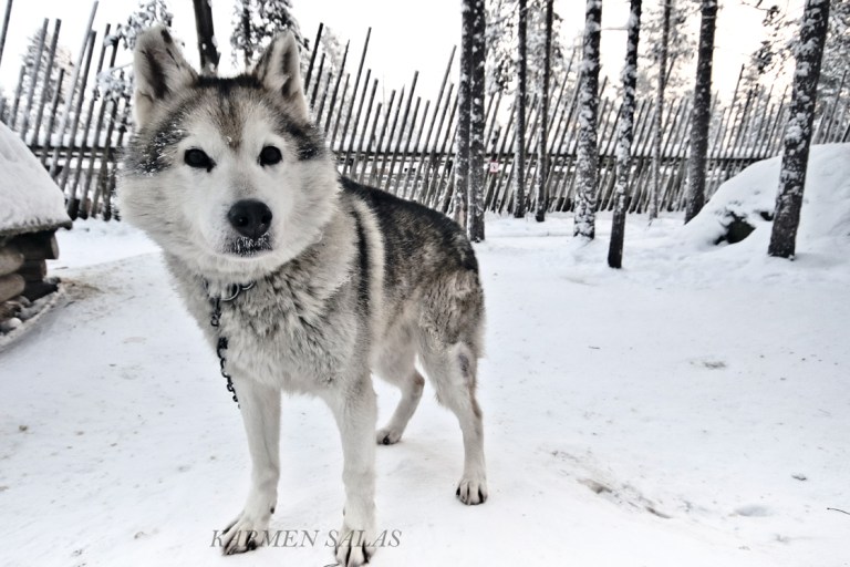 KARMEN SALAS 00120160121_5472