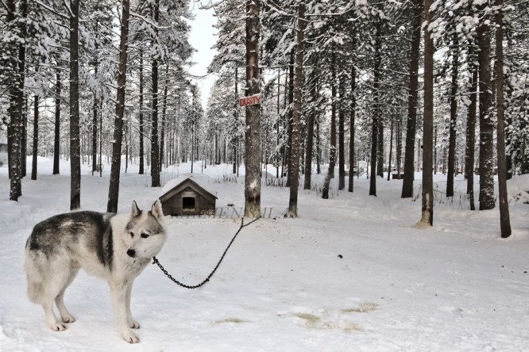 KARMEN SALAS 00120160121_5473