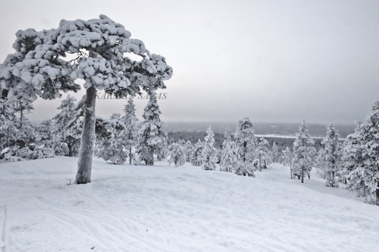 KARMEN SALAS 00120160121_5475