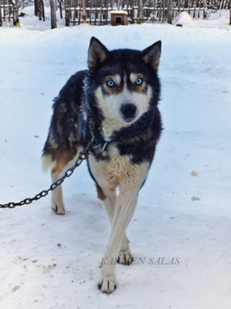 KARMEN SALAS 00120160121_5476